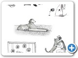 Selection of illustrations from the Secret Adventures of Rolo -book 2