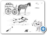 Selection of illustrations from the Secret Adventures of Rolo -book 1
